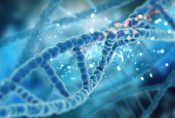 Molecular Biology Lab